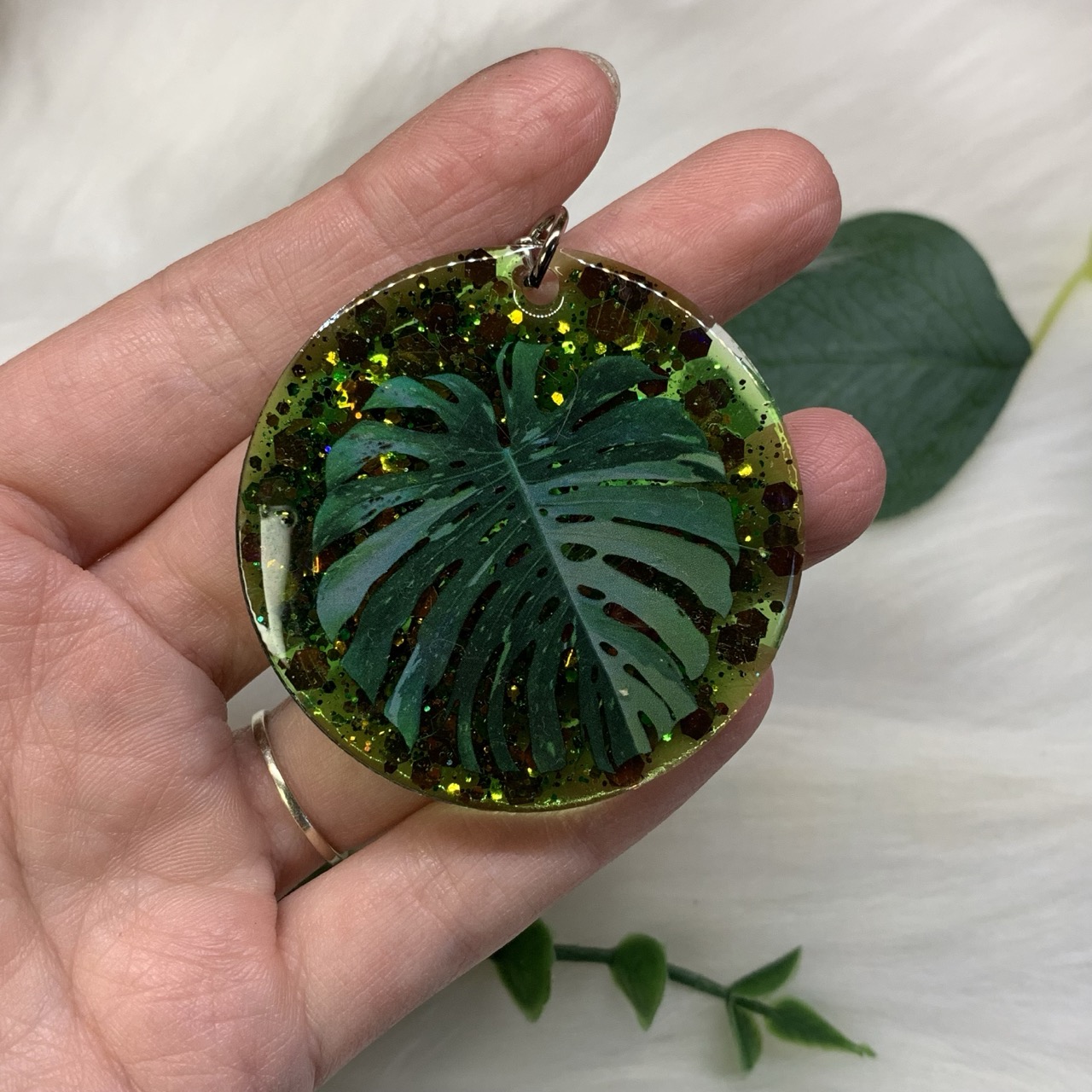 Monstera