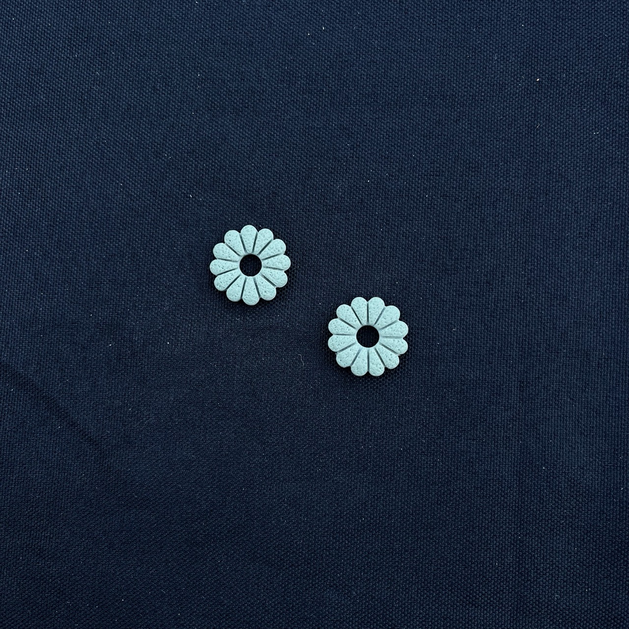 Fleurs Sauge