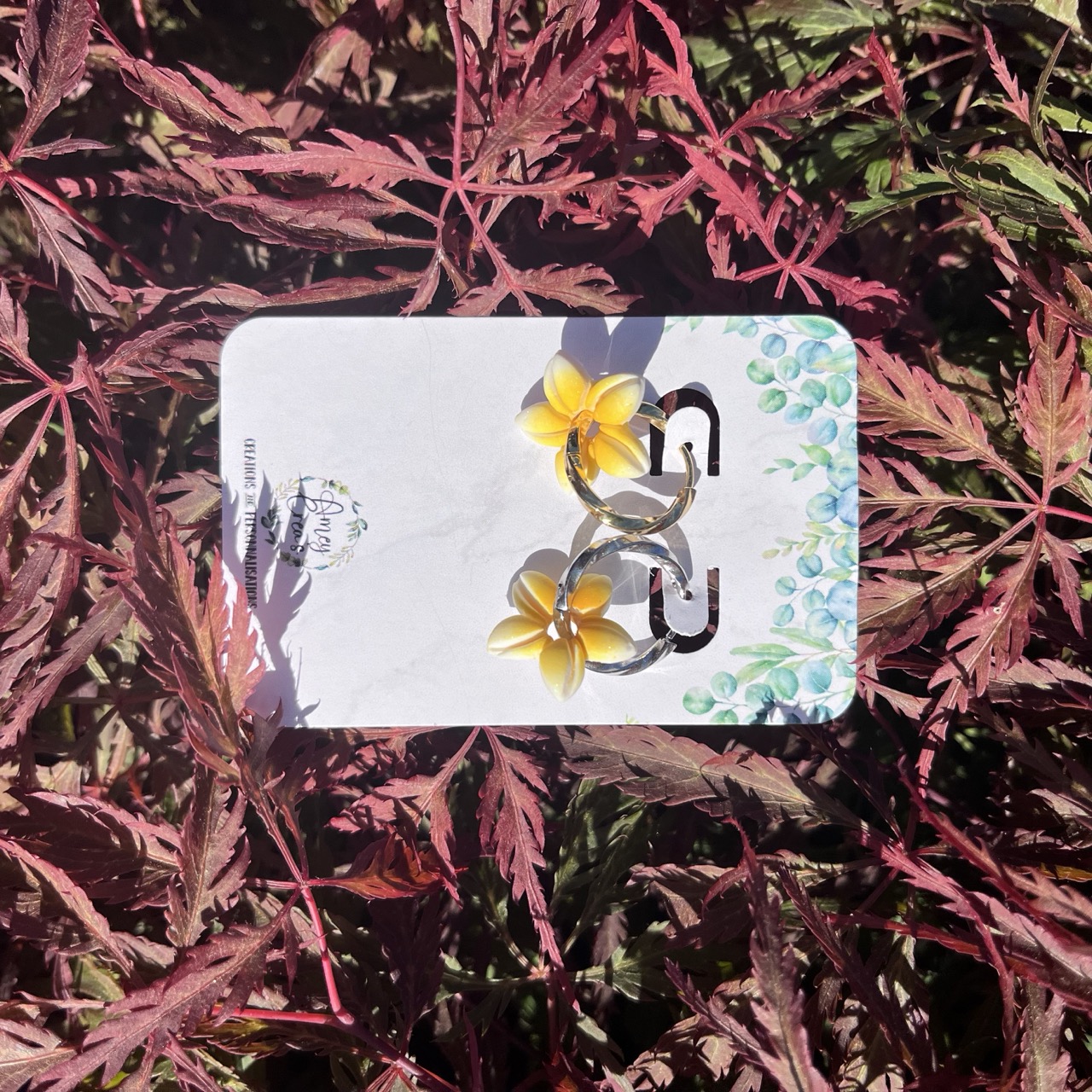 Amey'Lys fleurs