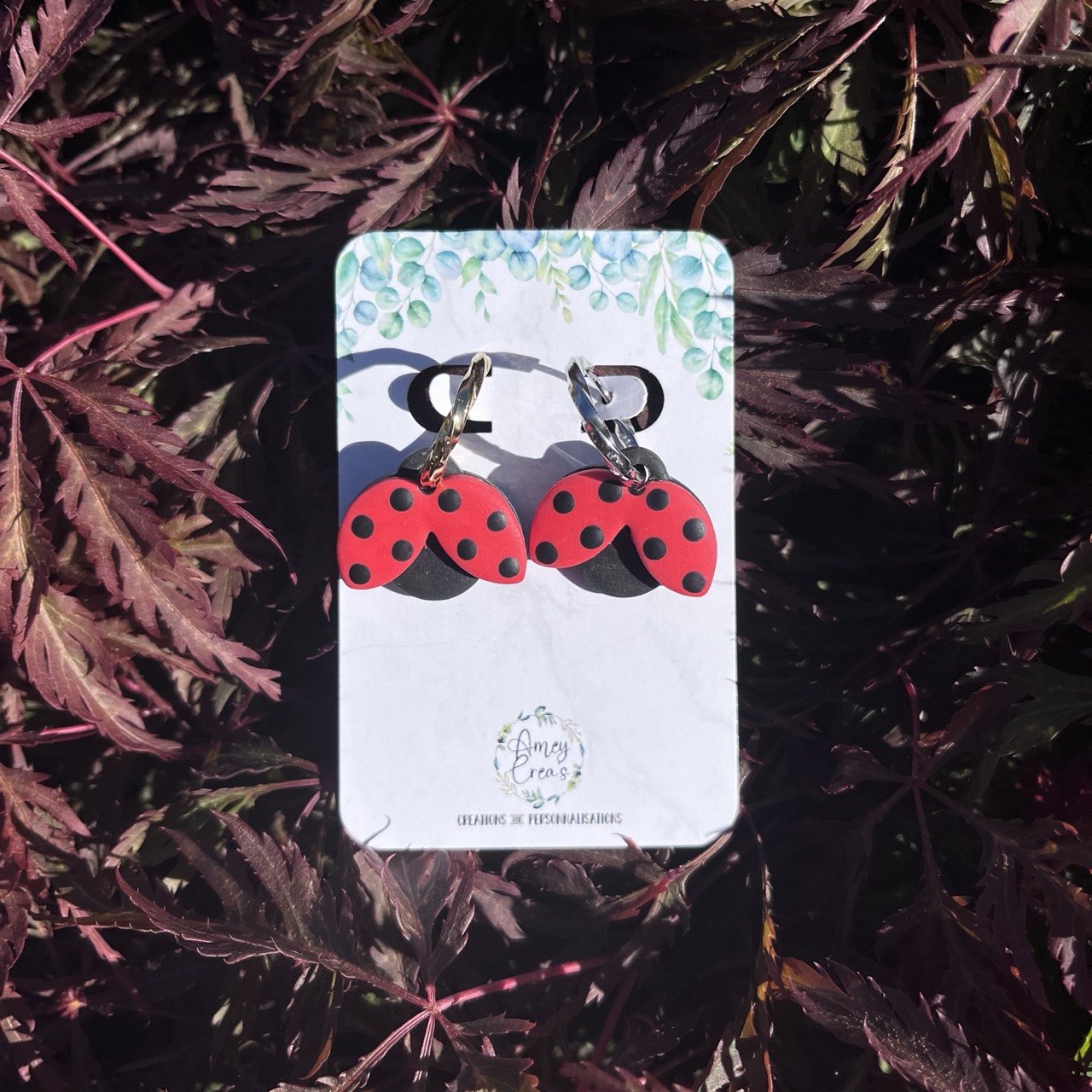 Amey'Lys Coccinelle