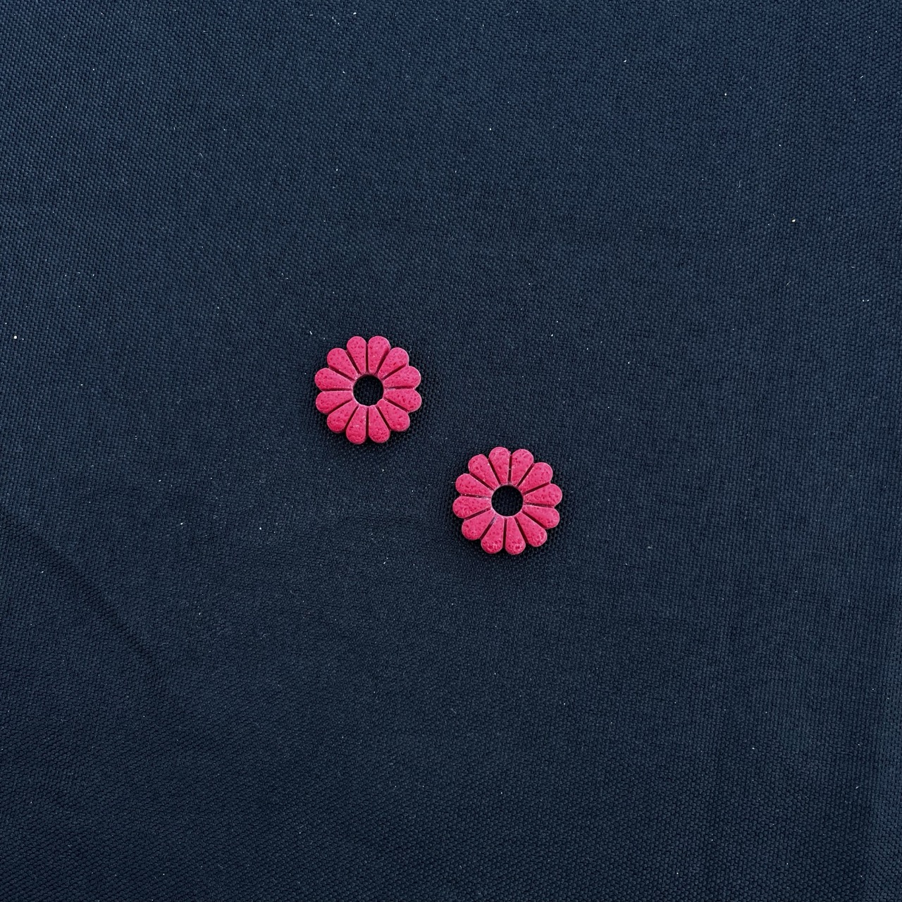 Fleurs Fushia